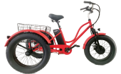 Электротрицикл Elbike TRITON VIP
