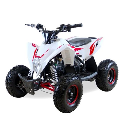 Детский электроснегоход + квадрацикл Gekkon Snow MAX 2в1