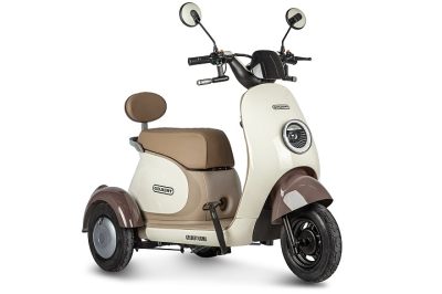 Электротрицикл Rutrike Gelbert Ogma 48V/60V 650Вт бело-коричневый Электротрицикл Rutrike Gelbert Ogma 48V/60V 650Вт бело-коричневый