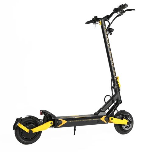ЭЛЕКТРОСАМОКАТ DUALTRON Teverun Blade Mini
