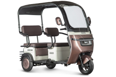 Электротрицикл Rutrike Gelbert Sarin 48V/60V 1000Вт коричнево-белый Электротрицикл Rutrike Gelbert Sarin 48V/60V 1000Вт коричнево-белый