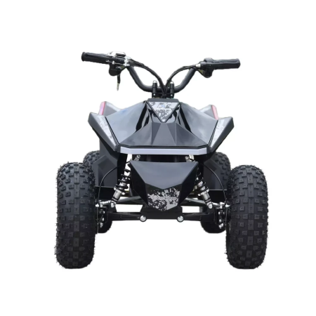 Электроквадроцикл Skyboard CyberTruck Sochi Kids 800W (цепной привод)