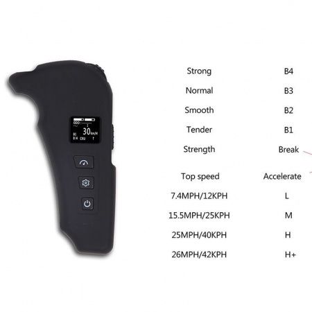 Электроскейт TeamGee H20