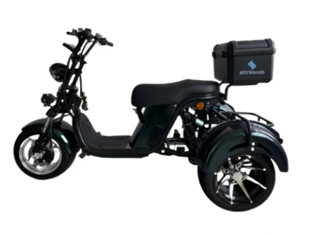 Электроскутер Skyboard MyRussia BR60 3000W