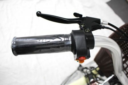 Электровелосипед GreenCamel Трайк-24 (R24 500W 48V 15Ah) синий