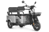 Электротрицикл Wanshida LC-F150 60V 1000Вт серый Электротрицикл Wanshida LC-F150 60V 1000Вт серый
