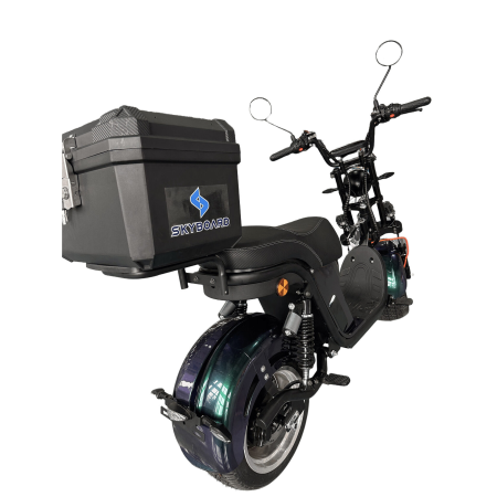 Электроскутер Skyboard Ural 2WD