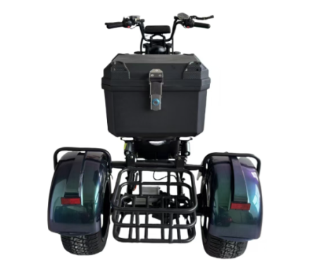 Электроскутер Skyboard MyRussia BR60 3000W