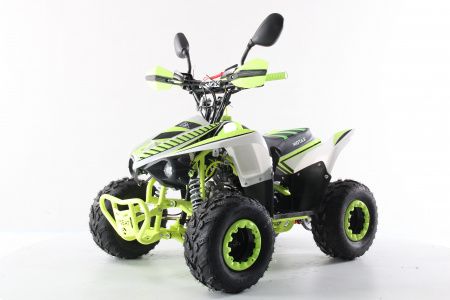 Подростковый квадроцикл Motax Mikro 110 NEW