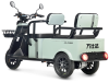 Электротрицикл Wanshida LC-F150 60V 1000Вт серый Электротрицикл Wanshida LC-F150 60V 1000Вт серый