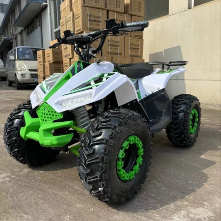 Электроквадроцикл ECO Lizard 48V32AH