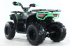 Бензиновый квадроцикл MOTAX GRIZLIK U200 зеленый