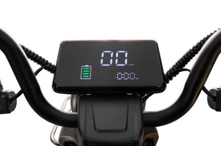 Пассажирский трицикл WHITE SIBERIA SIBTRIKE L 2000W