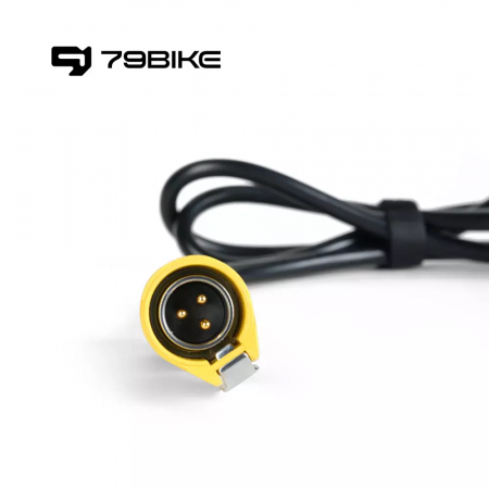 Зарядное устройство 79Bike