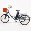 Электровелосипед GreenCamel Трайк-24 (R24 500W 48V 10Ah) синий
