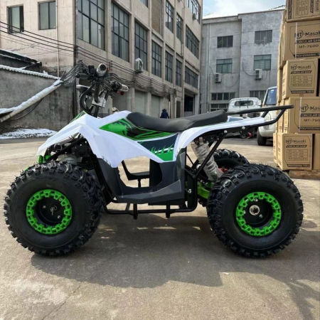 Электроквадроцикл ECO Lizard 48V30AH