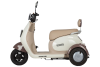 Электротрицикл Rutrike Gelbert Ogma 48V/60V 650Вт бело-коричневый Электротрицикл Rutrike Gelbert Ogma 48V/60V 650Вт бело-коричневый