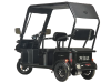 Электротрицикл Wanshida NIPLA 570 60V 1000Вт черный Электротрицикл Wanshida NIPLA 570 60V 1000Вт черный