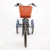 Электровелосипед GreenCamel Трайк-24 (R24 500W 48V 15Ah) синий