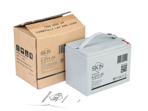 Тяговый аккумулятор SKN 6-EVF-55 (12V58.5A/H C5)