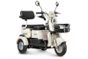 Электротрицикл Rutrike Gelbert Mercury 48V/60V 650Вт черный Электротрицикл Rutrike Gelbert Mercury 48V/60V 650Вт черный