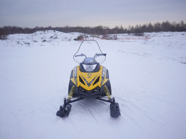 Электронегоход ELIQ Тикси