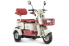 Электротрицикл Rutrike Gelbert Mercury 48V/60V 650Вт бело-красный Электротрицикл Rutrike Gelbert Mercury 48V/60V 650Вт бело-красный