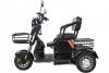Пассажирский трицикл WHITE SIBERIA SIBTRIKE 2000W