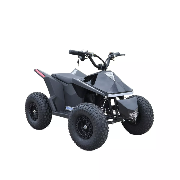 Электроквадроцикл Skyboard CyberTruck Sochi Power 1000W (дифференциальный редуктор)