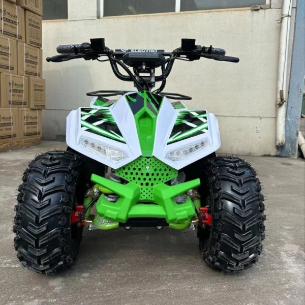 Электроквадроцикл ECO Lizard 48V30AH