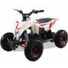 Квадроцикл - снегоцикл  2в1  GEKKON 90cc SNOW MAX Бензиновый