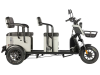 Электротрицикл Wanshida LC300 60V 1000Вт серый Электротрицикл Wanshida LC300 60V 1000Вт серый